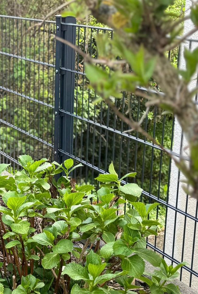 Markus Becker - Zaun Bewertung